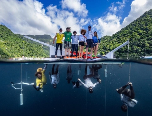 Entretien avec Jeroen Van Haudt, infirmier urgentiste, instructeur et fervent défenseur d&rsquo;une apnée sûre